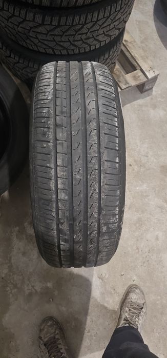 Літні  шини  PIRELI