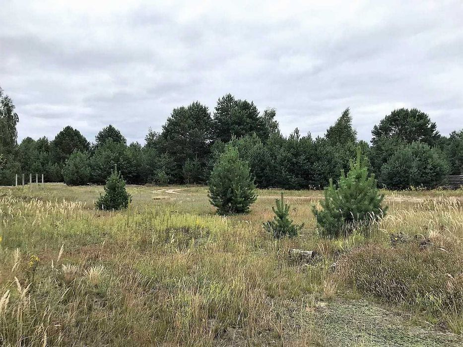 Ясногородка, ділянка 12 сот в мальовничому місці