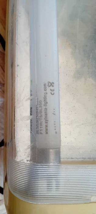 Lanterna com lâmpadas