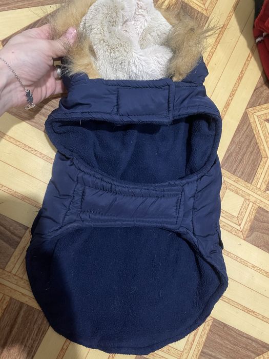 Помпона на собачку