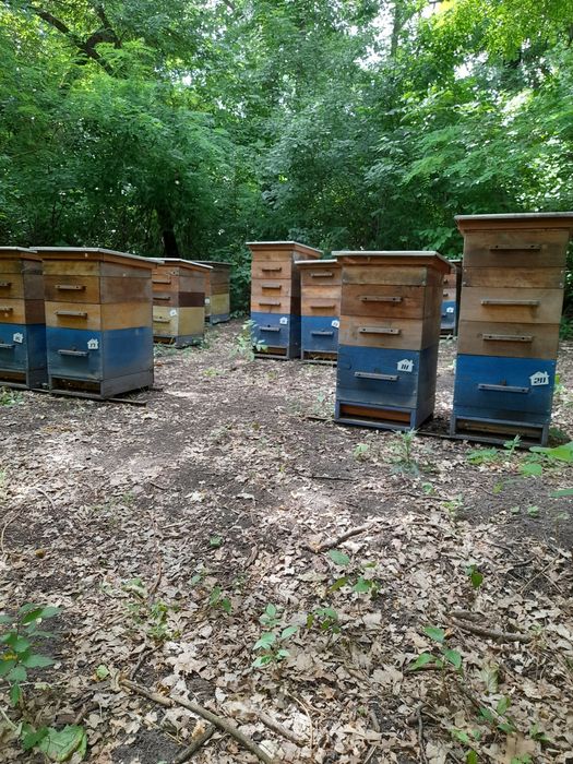 Продам вулики 10 рамкові .