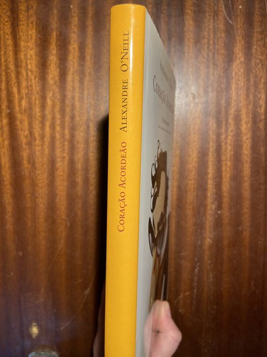 Livro O coração Acordeão.