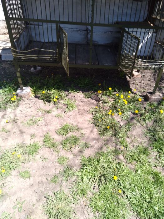 Клітка залізна,вольєр для собаки, для нутрій або кролів