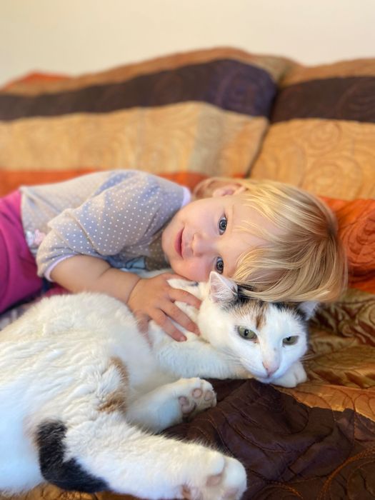 Віддам кицьку ,дуже лагідна