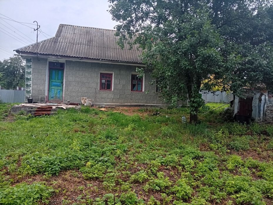 Продам хату в житловому стані з земельною ділянкою