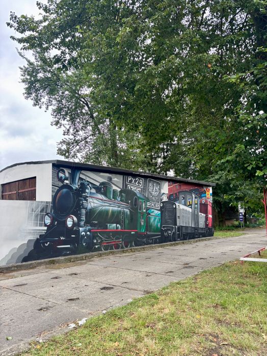 Graffiti Mural Malowanie Artystyczne UV 3D