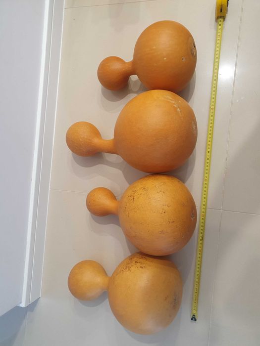 Tykwy owoc zdrewniały z Nigerii + gratis