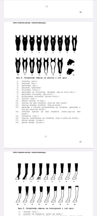 NOTATKI Technik weterynarii 2026 - Chów i hodowla zwierząt ANATOMIA