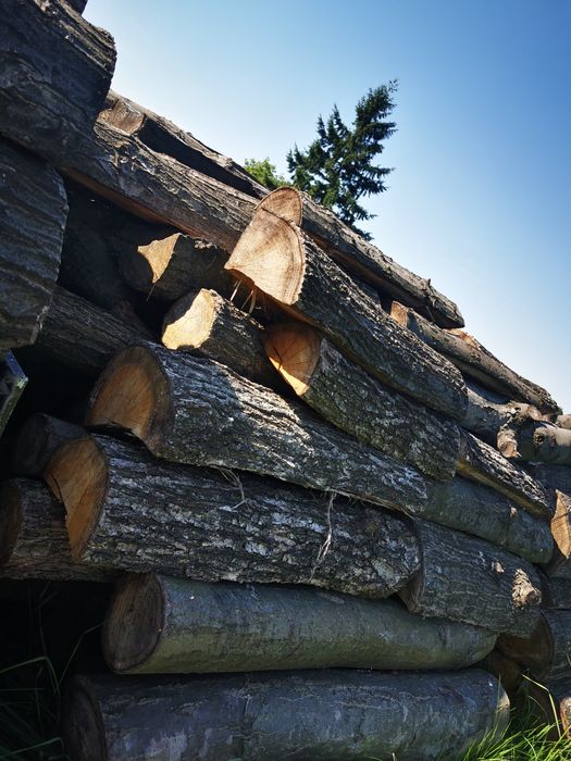 Drewno kominkowe, opałowe dębowe!