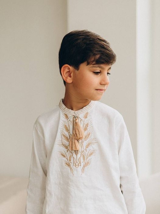 Вишита сорочка на хлопчика Колоски