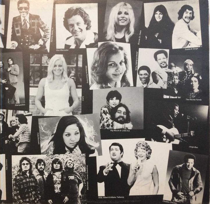 30 Hits van 1976