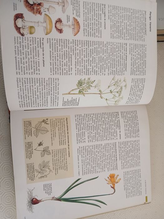 ABC da Natureza Livro