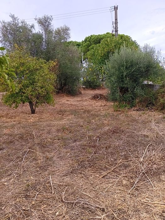 Terreno urbano Torres Novas, Freguesia de Assentiz
