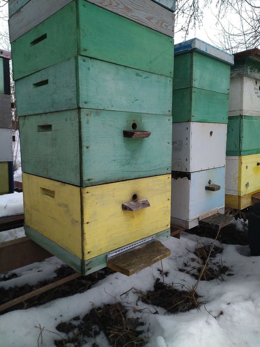 Вуликі,рамкі,суш.