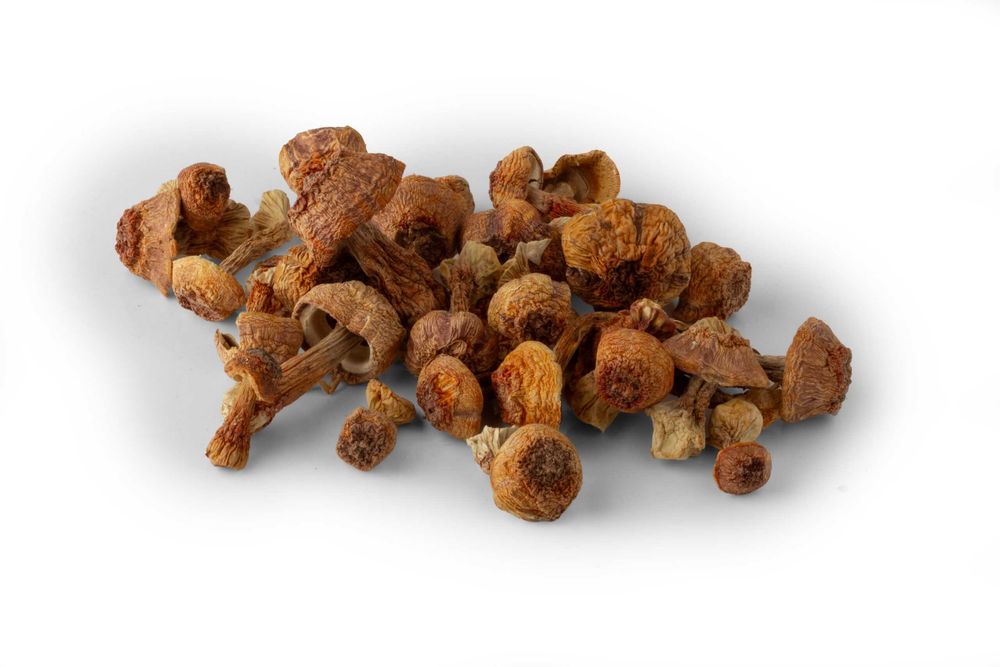 Pieczarka brazylijska suszona 100g