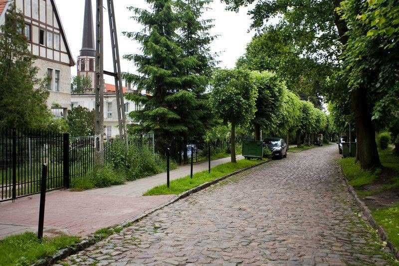 Zdjęcie 8
