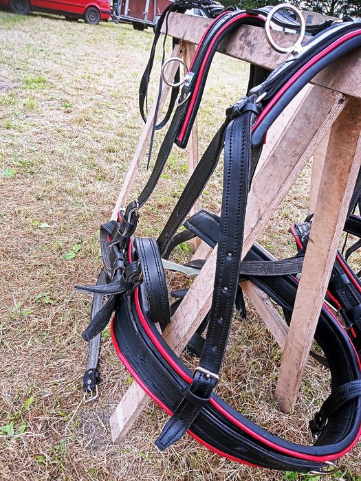 Szory puszory uprząż dla konia