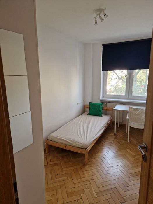 Zdjęcie 5