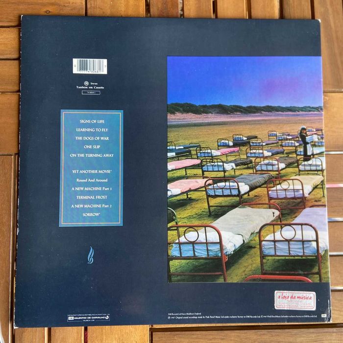 Vendo Pink Floyd mometary lapse of reason