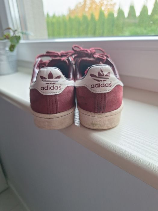 Adidas campus bordo