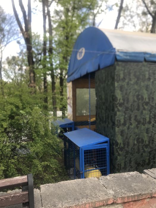 Атракціон пневмо пушки