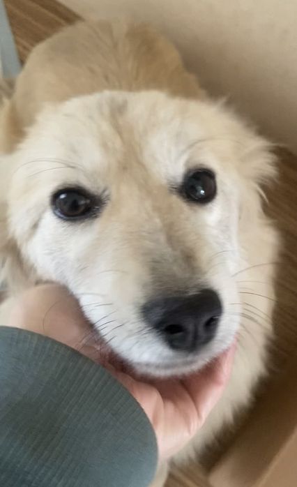 У добрі і люблячі ручки !