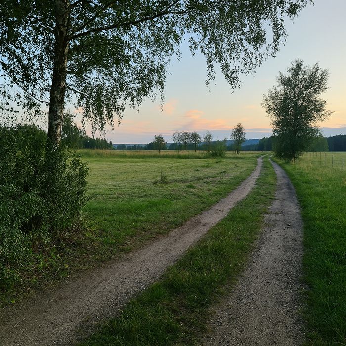 Działka działki Trzebiszewo 8 do 18 ar