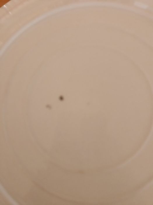 Prato de servir em faiança de Sacavém