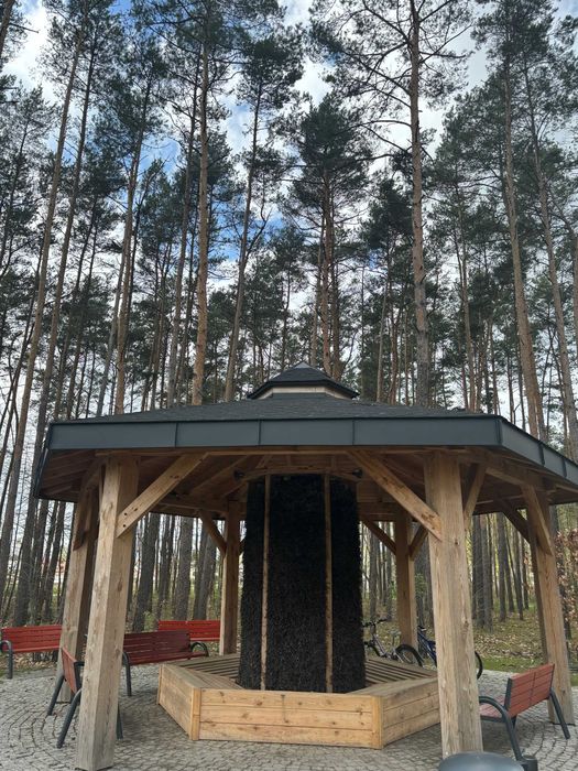 Dekarstwo | Domy Szkieletowe | Konstrukcje Drewniane | Wiaty i Pergole