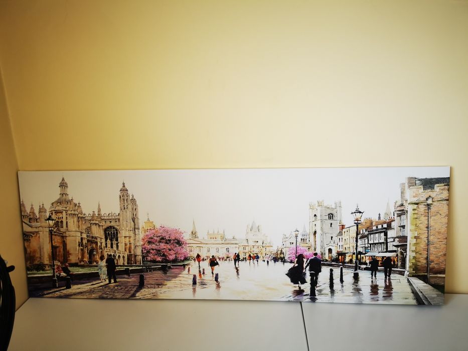 Obraz na płótnie Cambridge 140 x 45 cm