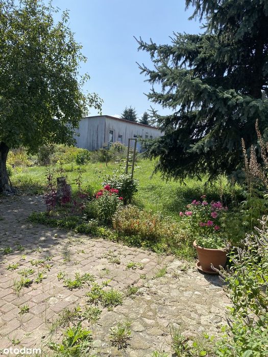 urocze siedlisko 40 km od Bydgoszczy