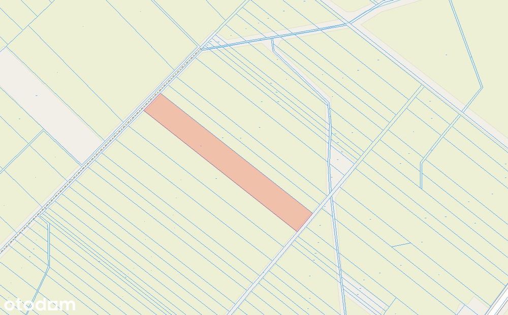 Działka rolna 1,55 ha w Żabcach, regularny kształt, Blisko A2 i s19