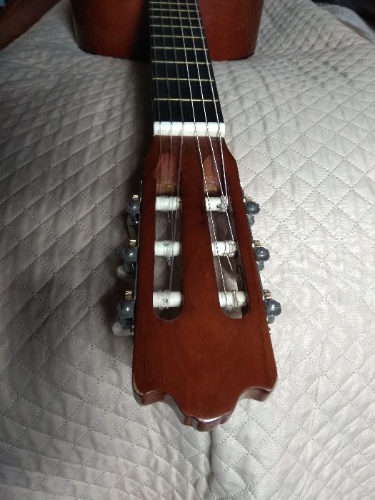 Viola64750640032642121