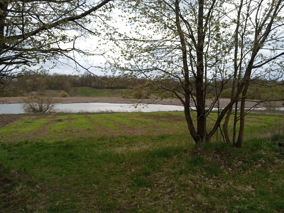 Житловий будинок. В селі Ялтушків