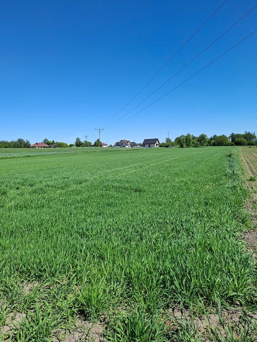 Działka 1,51 ha z warunkami zabudowy - Widok 3