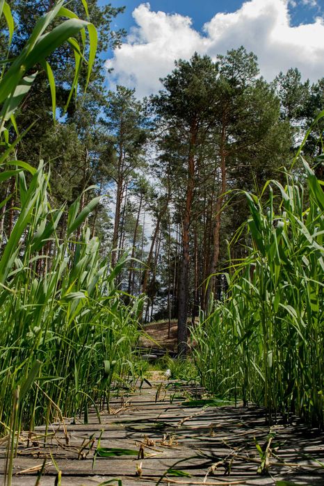 Оренда,риболовля,база на воді будинок,човен,пляж,альтанка,спуск човнів