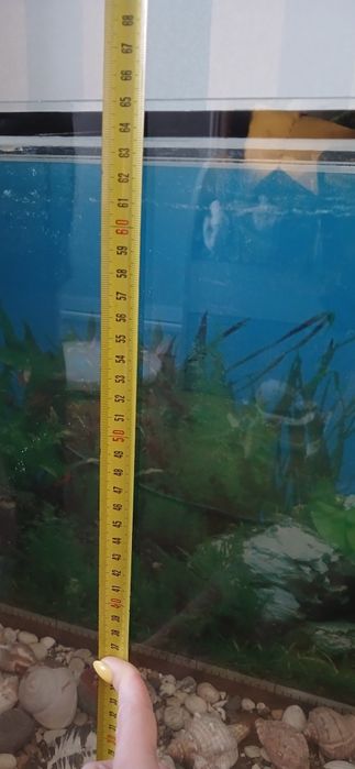 Акваріум на 180 л