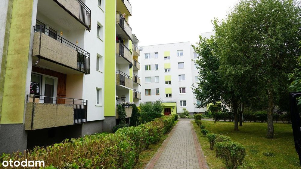 Mieszkanie 52m² blisko morza - Kołobrzeg, Ogrody - Widok 4