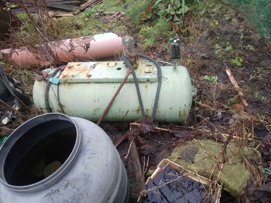 półośka żuk nysa tarpan