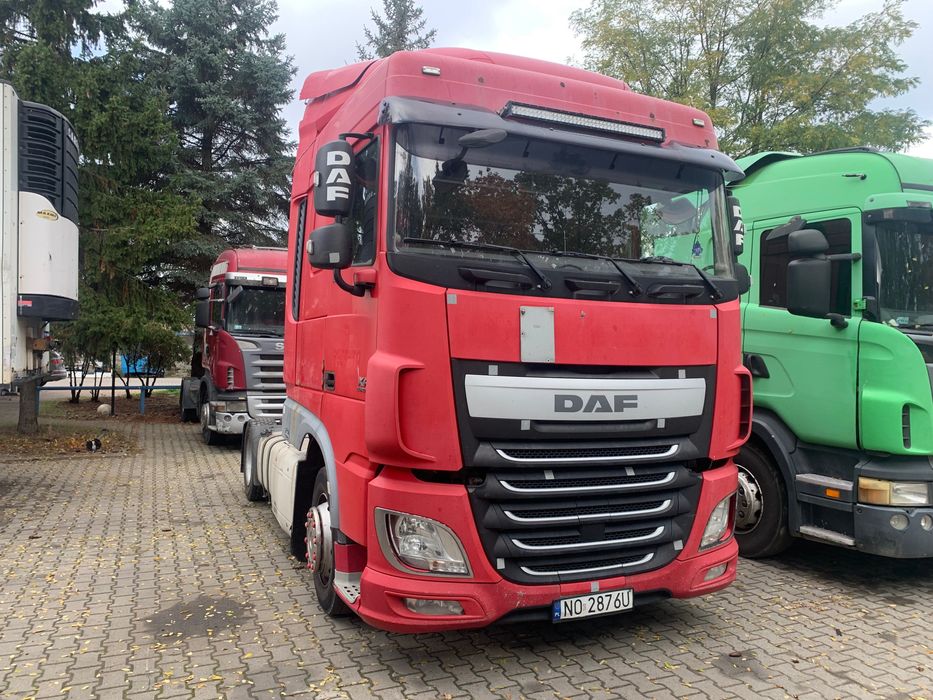DAF