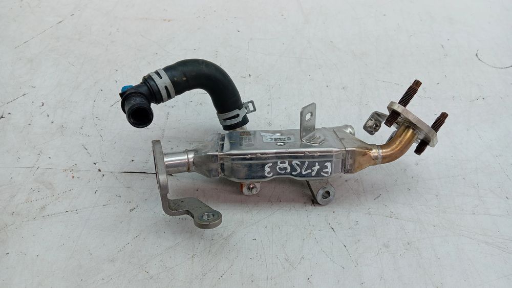 Radiador de gases / EGR RENAULT Clio V (BF_)
