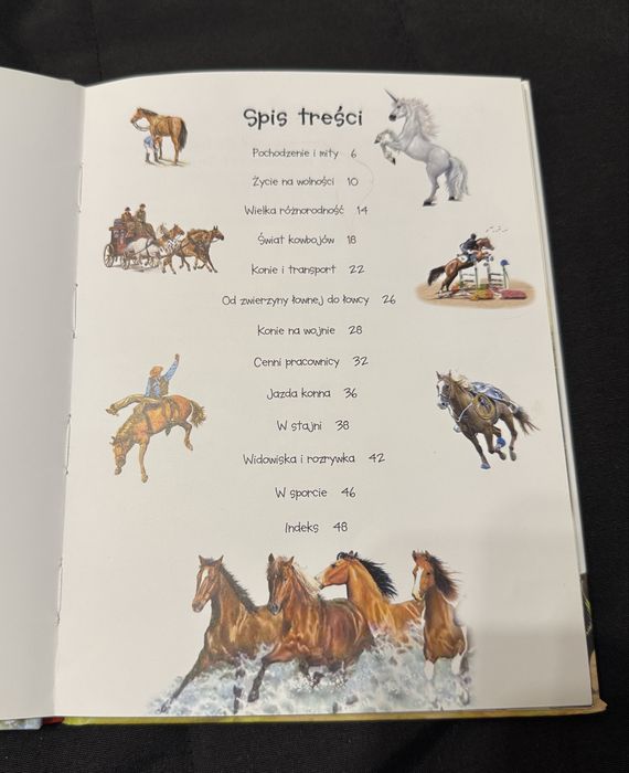 Książka - 101 ciekawostek. Konie – Olesiejuk