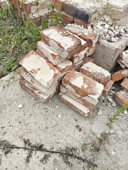 Stara cegła 50 gr/szt