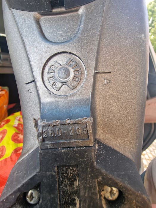 Botas de sky NORDICA