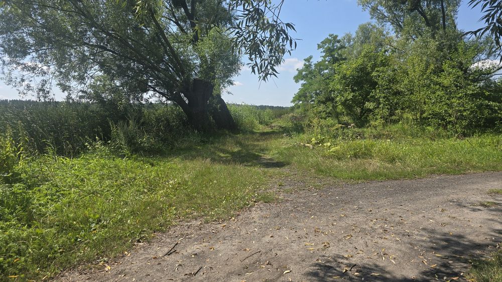 Продаж ділянки 63сот. з видом на озеро та замок Радомисль (Радомишль)