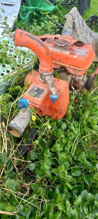 Motor de rega kubota