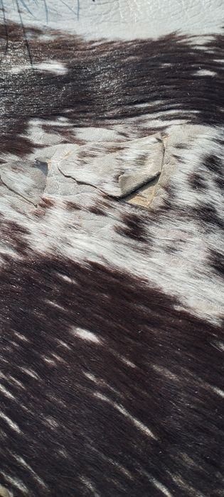 Skóra naturalna bydlęca 190x160 cm