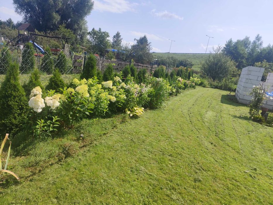Ogródek/Działka ROD PRZYRODA Elbląg 600m2