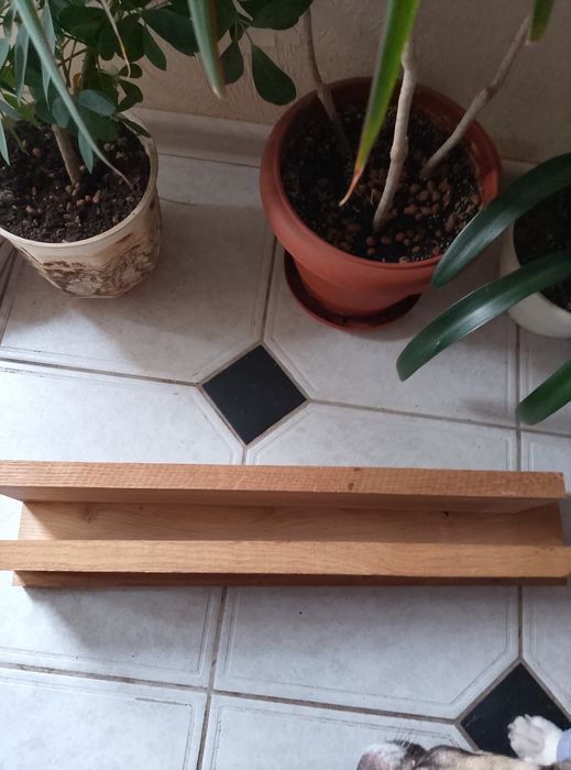 Продам доска дуба,строганная, обрезная.