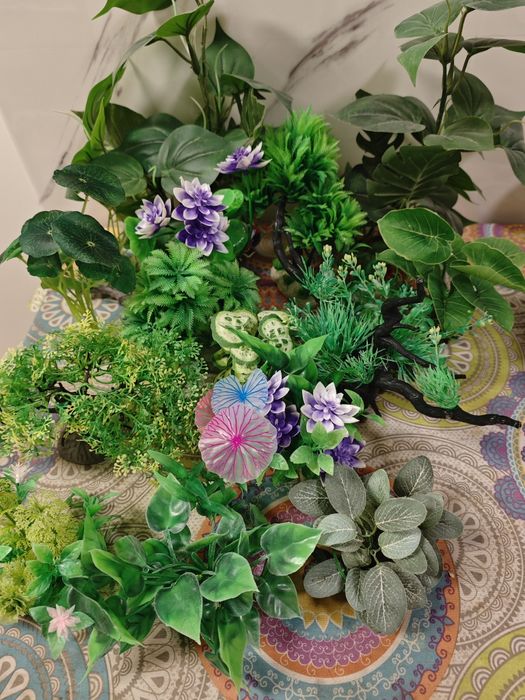 Aquario plantas platico